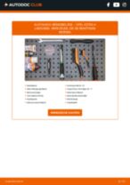 FIAT ELBA Xenon-Licht austauschen: Anweisung pdf