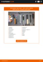 DIY-handleiding voor het vervangen van Handremkabel in SAAB 9-3 2015