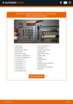 LAMBORGHINI VENENO Reguliatorius, kintamosios srovės generatorius pakeisti: žinynai pdf