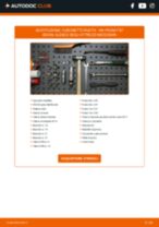 Come cambiare Termostato radiatore FIAT 128 Familiare - manuale online