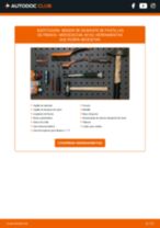 PDF manual sobre mantenimiento SMART ROADSTER