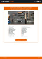 PDF manual sobre mantenimiento A4 Avant (8D5, B5) 1.9 TDI