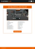 Skoda Octavia 2 Combi Kraftstofftank: Schrittweises Handbuch im PDF-Format zum Wechsel