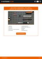 DIY-handleiding voor het vervangen van Injector Afdichtring in OPEL MERIVA 2017