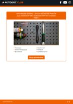 De professionele handleidingen voor Gloeibougies-vervanging in je Skoda Roomster Praktik 1.2 TSI