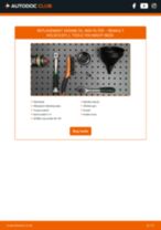 Step-by-step repair guide & owners manual for RENAULT KOLEOS