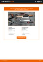 Online-ohjekirja, kuinka vaihtaa Venttiilikopan Tiiviste LX 570 -malliin