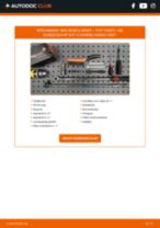 Gloeilamp knipperlamp vervangen FIAT PUNTO: gratis pdf