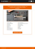 CITROËN DS4 Molla Ammortizzatore sostituzione: tutorial PDF passo-passo