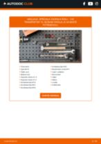 Menjava Svetilka registrske tablice JAGUAR Mk IX: vodič pdf