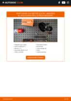Cambio Kit Cinghie Poly-V SUZUKI SPLASH: guida pdf