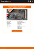 PDF manual sobre mantenimiento 9-3 Cabrio (YS3F) 2010
