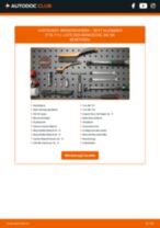 Schrittweise Reparaturanleitung für Alhambra II (710, 711) 2019