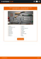 DIY-manual för byte av Bromsskivor i AUDI Q3