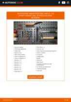 BILSTEIN 35-122081 per Passat Variant (365) | PDF istruzioni di sostituzione