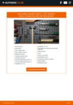 SEAT Tarraco (KN2_) 2020 carte tehnica de reparație și întreținere