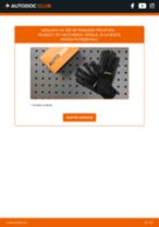 Vodič PDF po korakih za menjavo Scirocco 3 Injektor