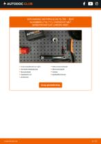 De professionele handleidingen voor Brandstoffilter-vervanging in je SEAT Alhambra 7N 1.4 TSI