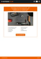 De professionele reparatiehandleiding voor Brandstoffilter-vervanging in je SEAT Alhambra 7N 1.4 TSI