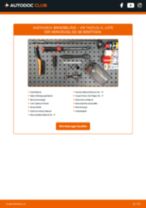 Reparatur- und Servicehandbuch für VW Taos (CL1) 2020