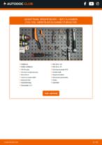 Den professionelle guide til udskiftning af Viskerblade på din SEAT Alhambra 7M 1.9 TDI 4motion