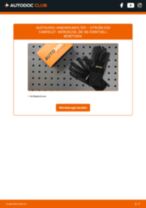 CITROËN C25 Box (280_, 290_) Heckklappendämpfer: PDF-Anleitung zur Erneuerung