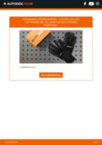 Stap-voor-stap PDF-handleidingen over het veranderen van CITROËN C3 III Kasten / Schrägheck (SX, SY) Interieurfilter