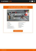 Schritt-für-Schritt-Anleitung im PDF-Format zum Kompressor, Druckluftanlage-Wechsel am ALPINA B10 (E34)