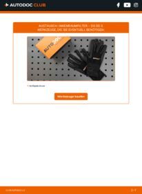 Wie der Wechsel ausgeführt wird: Innenraumfilter 1.6 BlueHDi 100 (SABHY0, SABHYT) DS DS 3