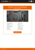 Manuale officina Alhambra (710, 711) 1.8 TSI PDF online