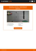 NISSAN PRIMASTAR Box (X83) Luftfilter: PDF-Anleitung zur Erneuerung