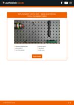 DACIA SUPERNOVA change Cylinder Lock : guide pdf