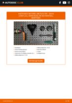 Reparatur- und Servicehandbuch für DACIA Lodgy (JS_) 2020