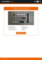 Werkstatthandbuch für SANDERO 1.6 16V Bifuel online