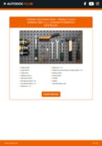 Podrobný PDF tutorial k výmene RENAULT CLIO II Box (SB0/1/2_) Guľový Čap Ramena