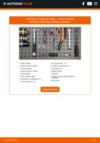 DACIA 1300 Montavimo Komplektas Išmetimo Sistema pakeisti: žinynai pdf
