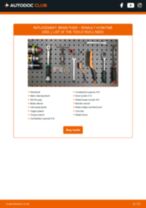 Avantime Van 2.2 dCi (DE01) manual pdf free download