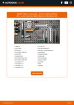 Online manual til udskiftning på egen hånd af Forhjulslejer på DACIA LOGAN EXPRESS (FS_)