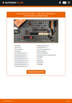 Citroen C2 Enterprise Scheinwerfer Set: Online-Handbuch zum Selbstwechsel