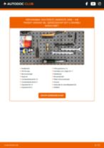 De professionele reparatiehandleiding voor Veerpootlager-vervanging in je Passat B6 2.0 TDI