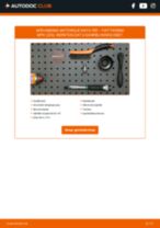Fiorino MPV (225) 1.3 JTD Multijet onderhoudsboekje voor probleemoplossing
