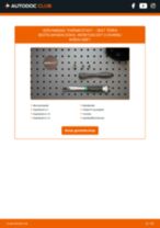 Stap-voor-stap PDF-handleidingen over het veranderen van SEAT TERRA Box (024A) Thermostaat