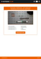 SEAT TERRA Box (024A) Ansaugbrücke: Schrittweises Handbuch im PDF-Format zum Wechsel