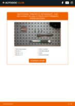 Cambio Kit Cinghie Poly-V AUDI Q5: guida pdf