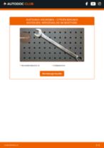 Aggregate-Rillenriemen-Erneuerung beim CITROËN BERLINGO Box (B9) - Griffe und Kniffe