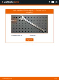 How to carry out replacement: Poly V-Belt 1.6 BlueHDi 100 (SABHY0, SABHYT) DS DS 3