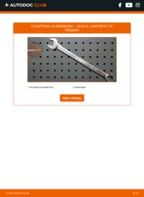 Slik bytter du Kileribberem 1.6 BlueHDi 100 (SABHY0, SABHYT) DS DS 3