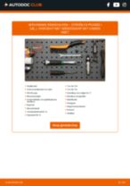 De professionele reparatiehandleiding voor Remblokken-vervanging in je Citroen C4 Picasso mk1 1.6 HDi