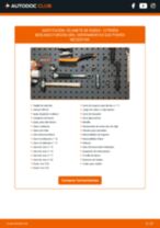 La guía profesional para realizar la sustitución de Escobillas de Limpiaparabrisas en tu Citroen Berlingo mk2 1.6 VTi 95