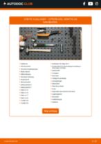DIY-manual för byte av Hjullager i CITROËN DS5